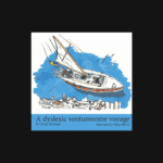 A dyslexic venturesome voyage