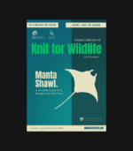 Knitting Pattern: Manta Ray Shawl