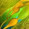 Close up image of kelp, showing the blades, bladders and stipe with multi hues of iridescent green.